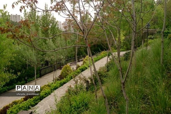 باغ پرندگان