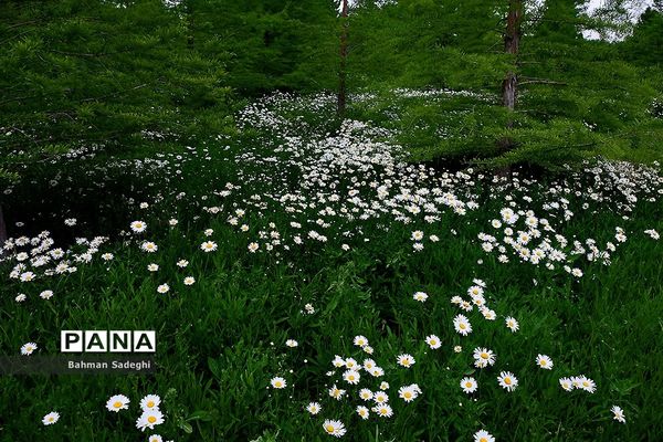 باغ گیاه شناسی ملی ایران