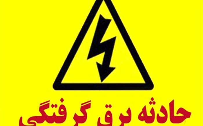 برق گرفتگی به زندگی  برقکار تبریزی  پایان داد
