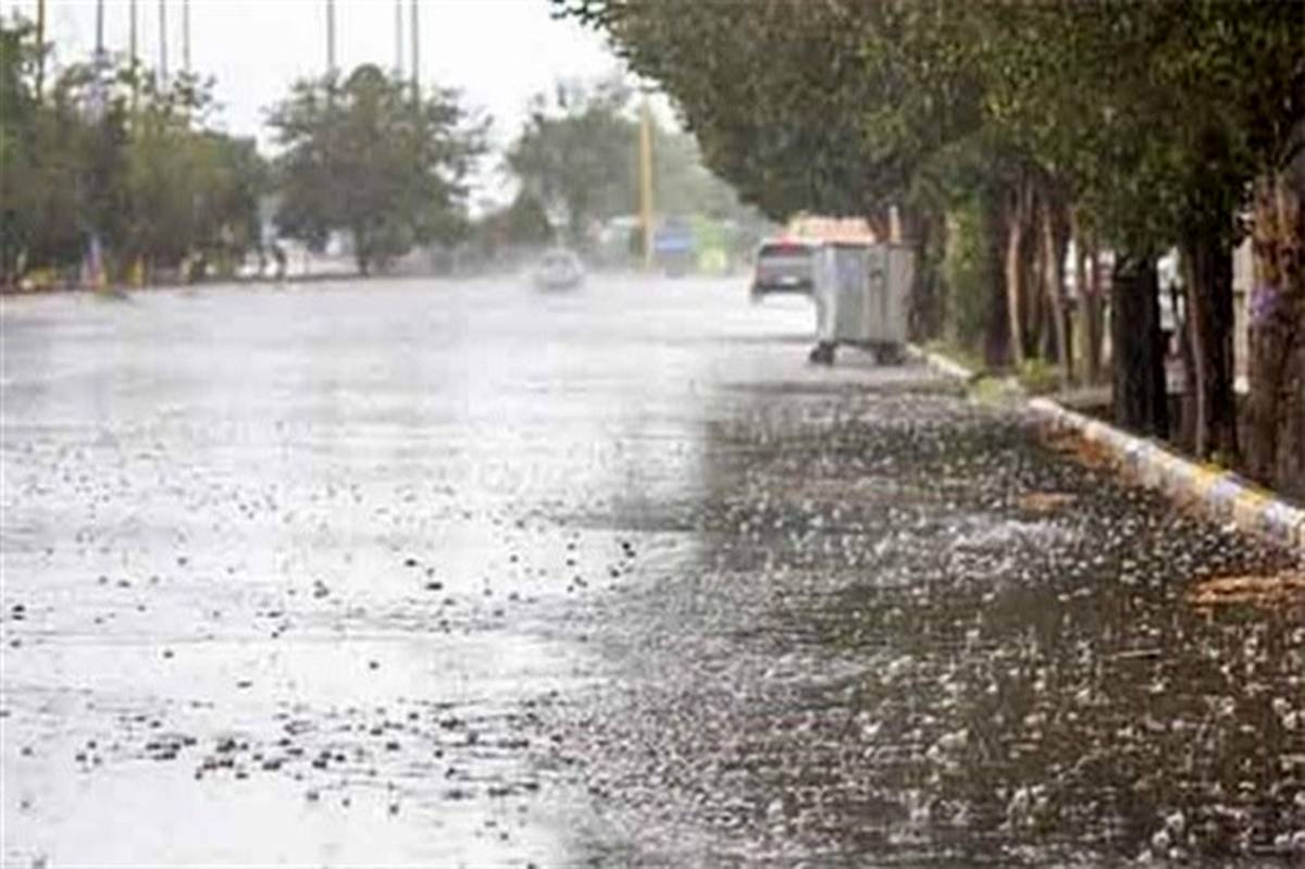 بارش باران رگباری در۴۶ نقطه سیستان و بلوچستان
