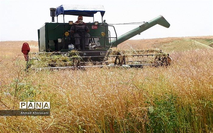 خرید گندم مازاد بر نیاز کشاورزان به ۱.۷ میلیون تن رسید