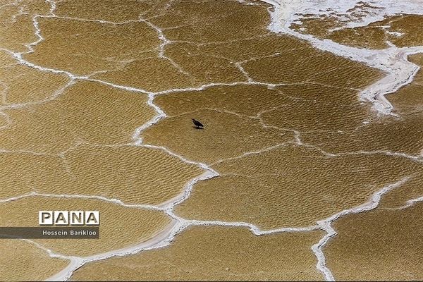 گنبد نمکی قم، تنها گنبد نمکی متقارن جهان