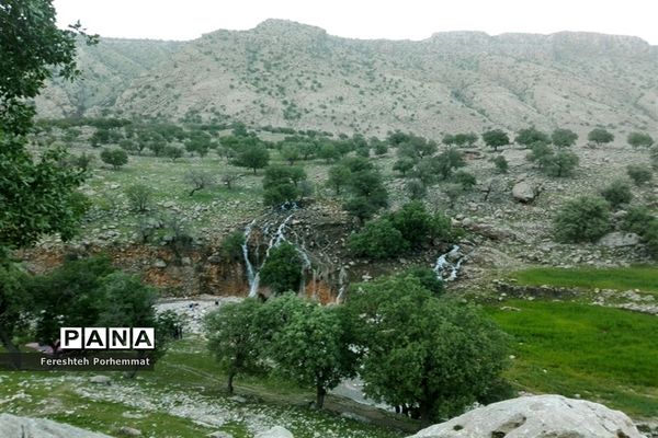 احیای دوباره چهل چشمه در فارس