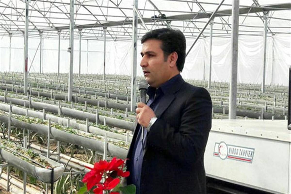 مدیر جهادکشاورزی مراغه: برای صدور مجوز گلخانه‌های کوچک مقیاس، محدودیتی وجود ندارد