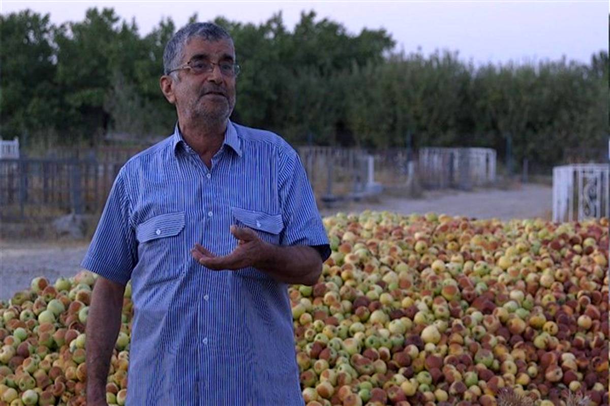 «میوه‌های روی درخت» از مشکلات کشاورزی ایران می‌گوید