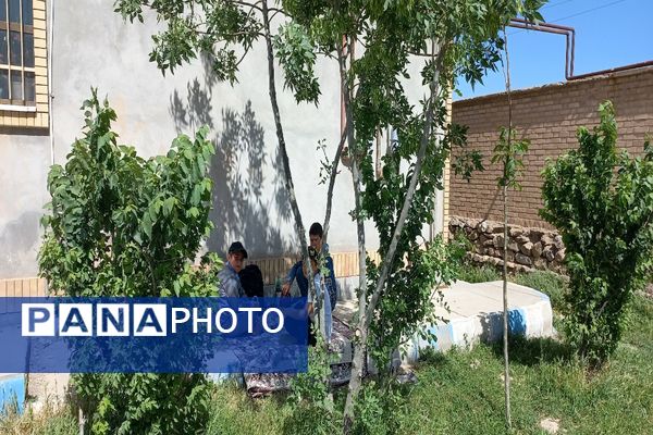 برگزاری اردوی درون مدرسه‌ای در مدرسه شهید معتمدی گزکوه