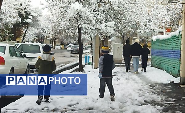 درختان طلایی ، سفید پوش شدند 