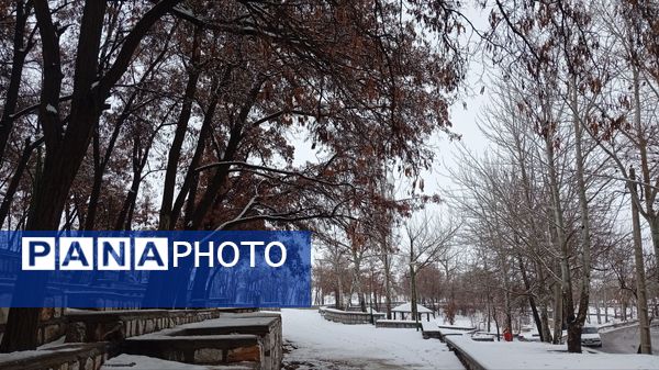 گرداب بن زیر چتر سپید برف