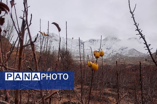 خودنمایی برف در شهر بار نیشابور