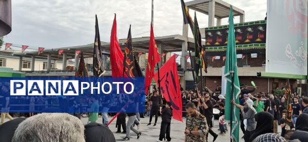 تاسوعای حسینی در شهرستان آمل