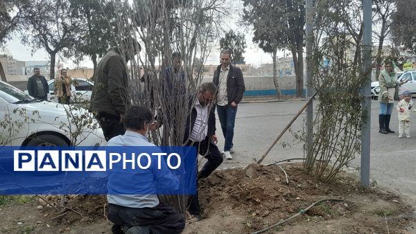 دختران ورزشکار ملاردی با کاشت نهال، آینده‌ای سبزتر برای زمین رقم می‌زنند
