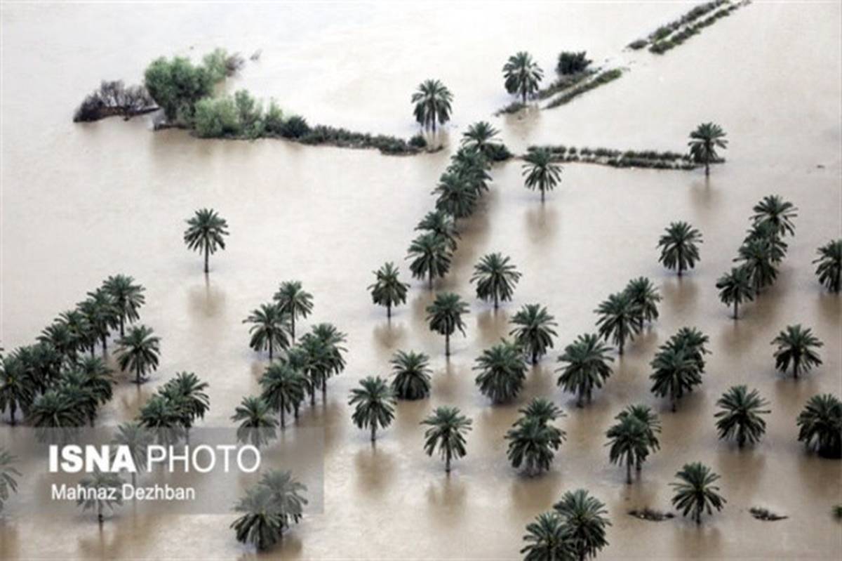 تخلیه سیلاب 76 درصد اراضی کشاورزی سیل زده خوزستان