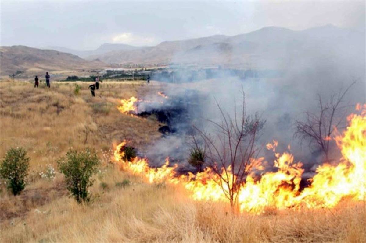 کاهش 50 درصدی آتش سوزی در مناطق حفاظت شده چهارمحال وبختیاری