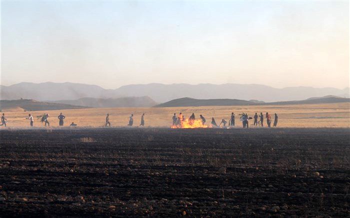 آتش‌سوزی گندم‌زارهای بخش کوهنانی کوهدشت مهار شد