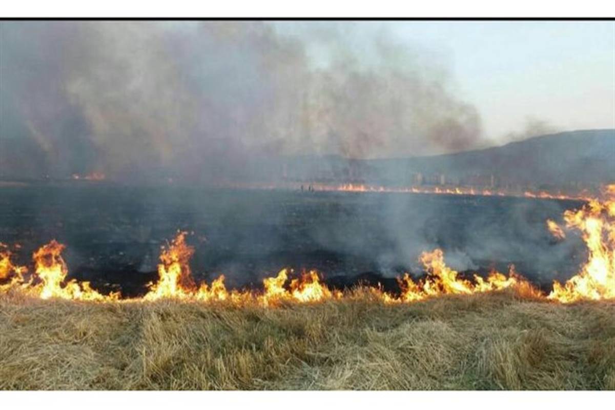 مهار کامل آتش‌سوزی در ارتفاعات "کوه هرم" شهرستان لارستان