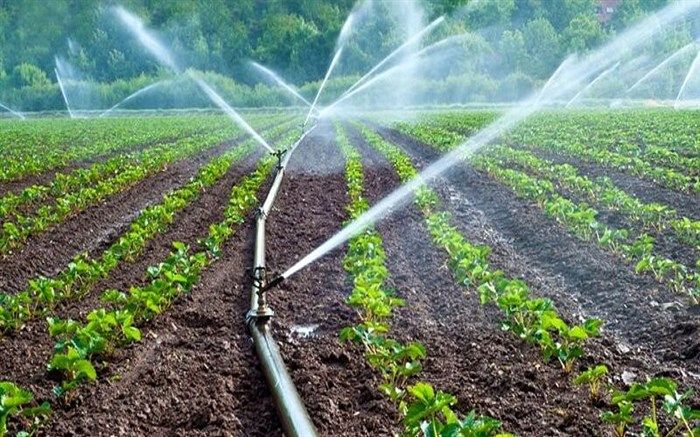 139 طرح عمرانی و تولیدی کشاورزی در مهاباد افتتاح می شود