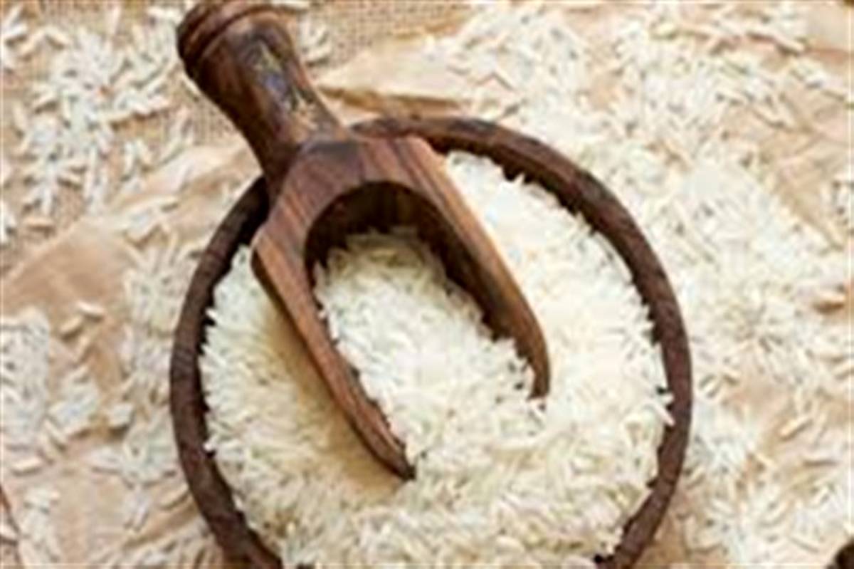 پیش بینی تولید بالغ بر 750هزار تن برنج سفید در گیلان