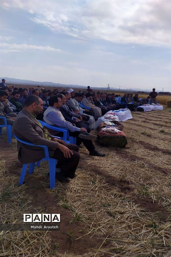 برگزاری جشن شکرگزاری برداشت گندم در روستای فیض آباد ،جلگه ماژان شهرستان خوسف
