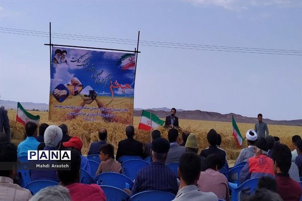 برگزاری جشن شکرگزاری برداشت گندم در روستای فیض آباد ،جلگه ماژان شهرستان خوسف