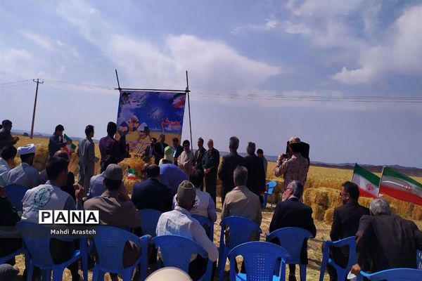 برگزاری جشن شکرگزاری برداشت گندم در روستای فیض آباد ،جلگه ماژان شهرستان خوسف