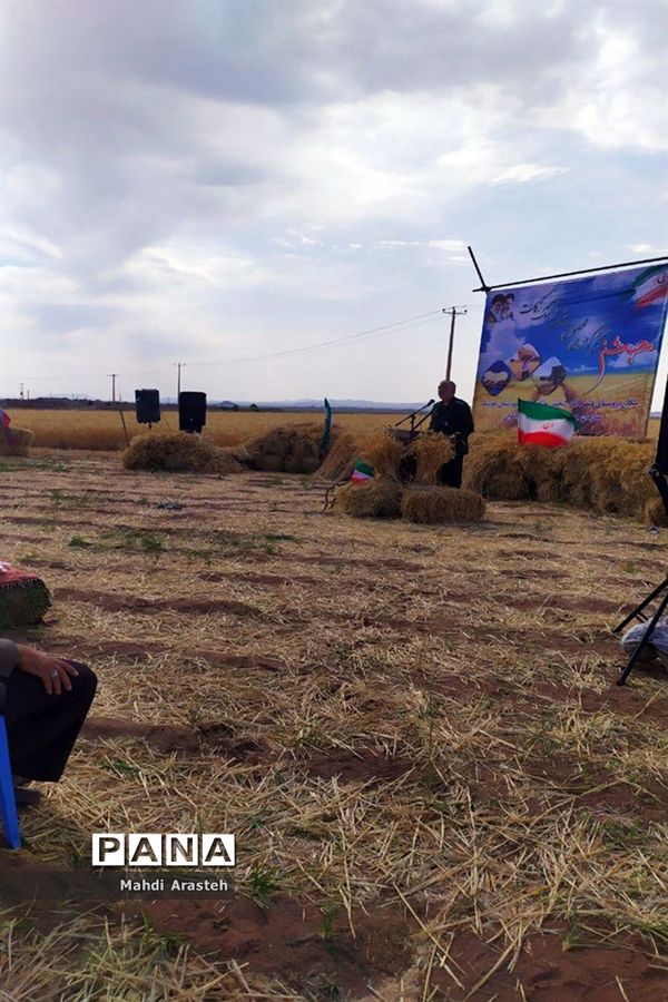 برگزاری جشن شکرگزاری برداشت گندم در روستای فیض آباد ،جلگه ماژان شهرستان خوسف