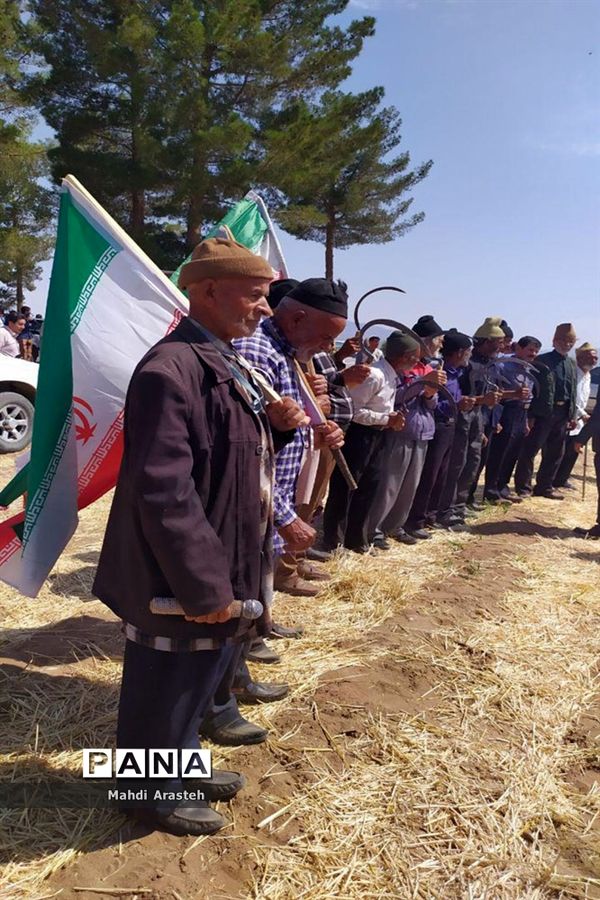 برگزاری جشن شکرگزاری برداشت گندم در روستای فیض آباد ،جلگه ماژان شهرستان خوسف