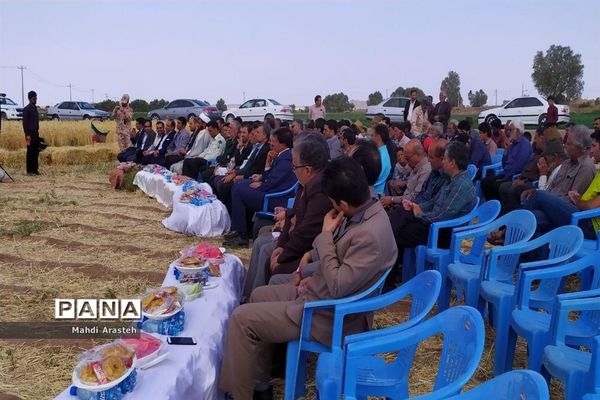 برگزاری جشن شکرگزاری برداشت گندم در روستای فیض آباد ،جلگه ماژان شهرستان خوسف