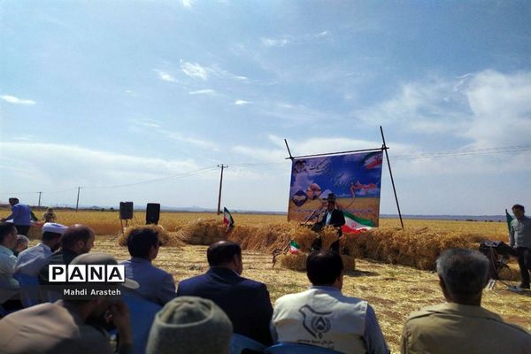 برگزاری جشن شکرگزاری برداشت گندم در روستای فیض آباد ،جلگه ماژان شهرستان خوسف