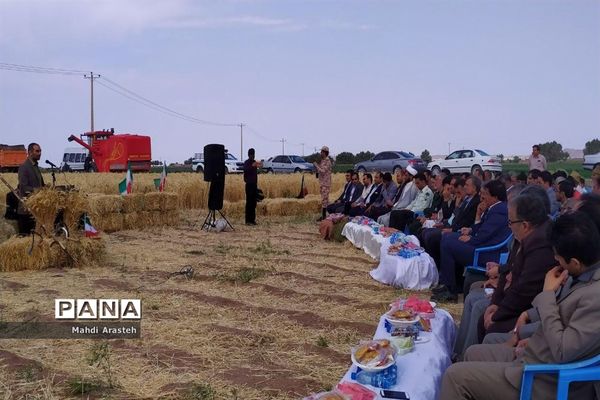 برگزاری جشن شکرگزاری برداشت گندم در روستای فیض آباد ،جلگه ماژان شهرستان خوسف