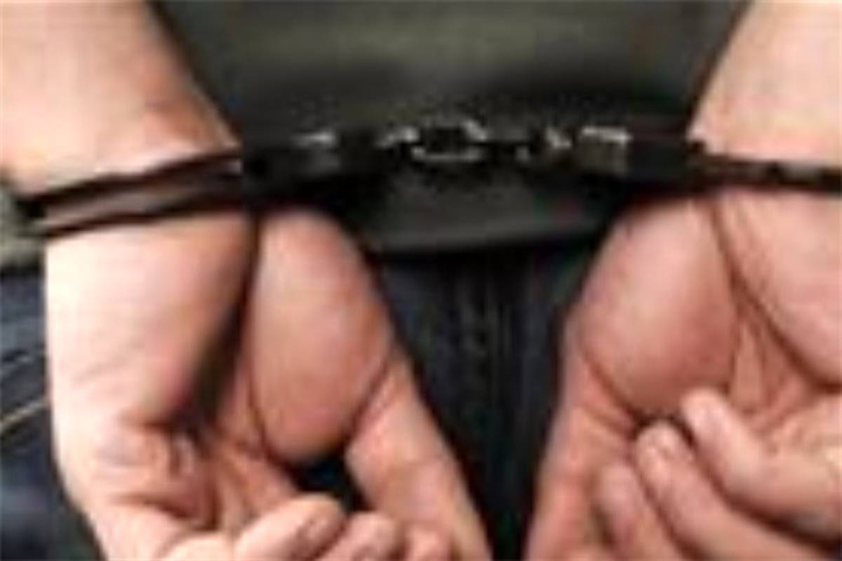 دستگیری ۳ پسر در رابطه با آتش‌سوزی پارک چیتگر