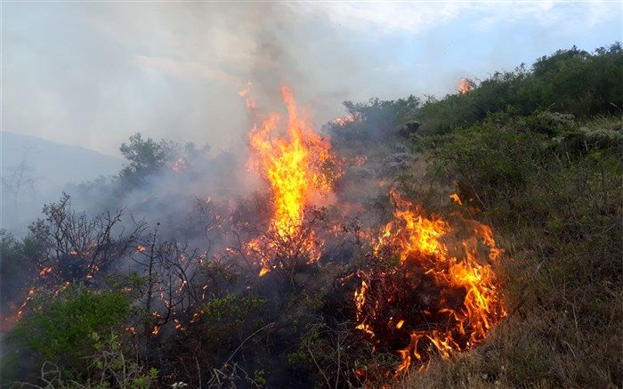 مهار آتش سوزی در ارتفاعات مشرف روستاهای پاپون وابوالحیات شهرستان کازرون بعد از ۷۲ساعت