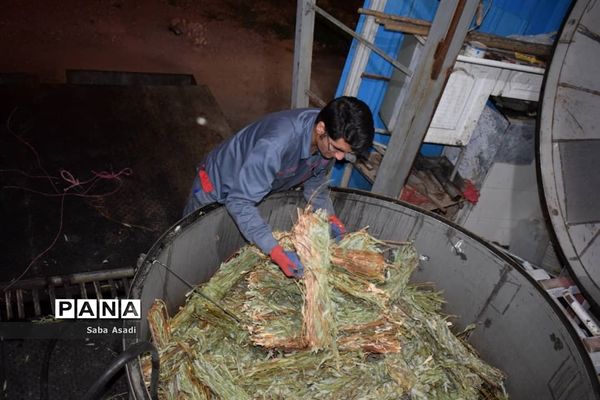فصل تابستان و رونق عرق گیری در شیراز
