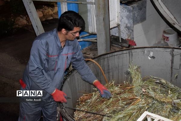 فصل تابستان و رونق عرق گیری در شیراز