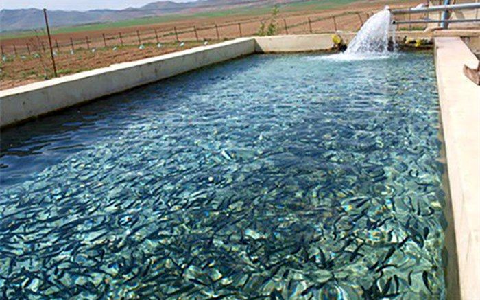 اجرای طرح پایش مالاشیت گرین در مزارع پرورشی ماهیان سرد آبی در آذربایجان غربی