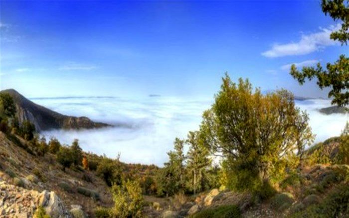 بازدید سالانه 100 هزار نفر از جنگل ابر شاهرود