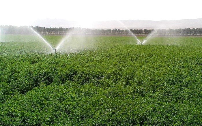 مطالعات طرح کاهش 40 درصد مصرف آب کشاورزی حوضه آبریز دریاچه ارومیه 90 درصد پیشرفت دارد