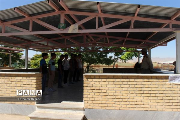 برگزاری پیش اردوی ملی دانش‌آموزان پیشتاز پسر استان زنجان