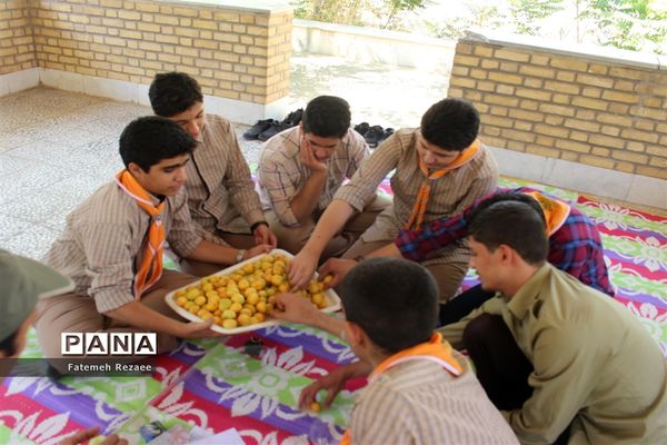 برگزاری پیش اردوی ملی دانش‌آموزان پیشتاز پسر استان زنجان