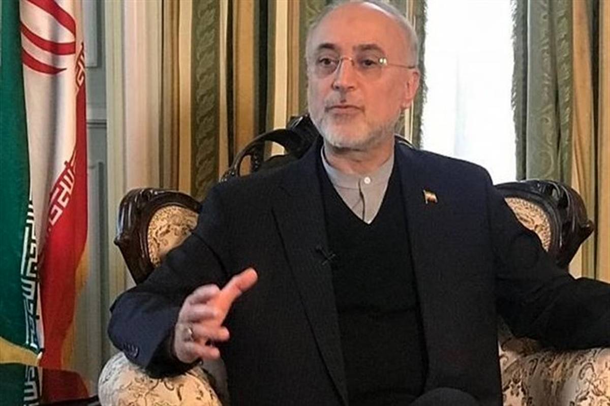 صالحی: ایران بر اساس تجارب خود هیچ اعتمادی به آمریکا ندارد