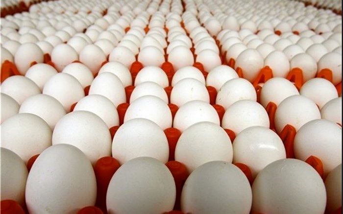 صادرات بیش از ۶ هزارتن تخم مرغ طی ۱.۵ ماه