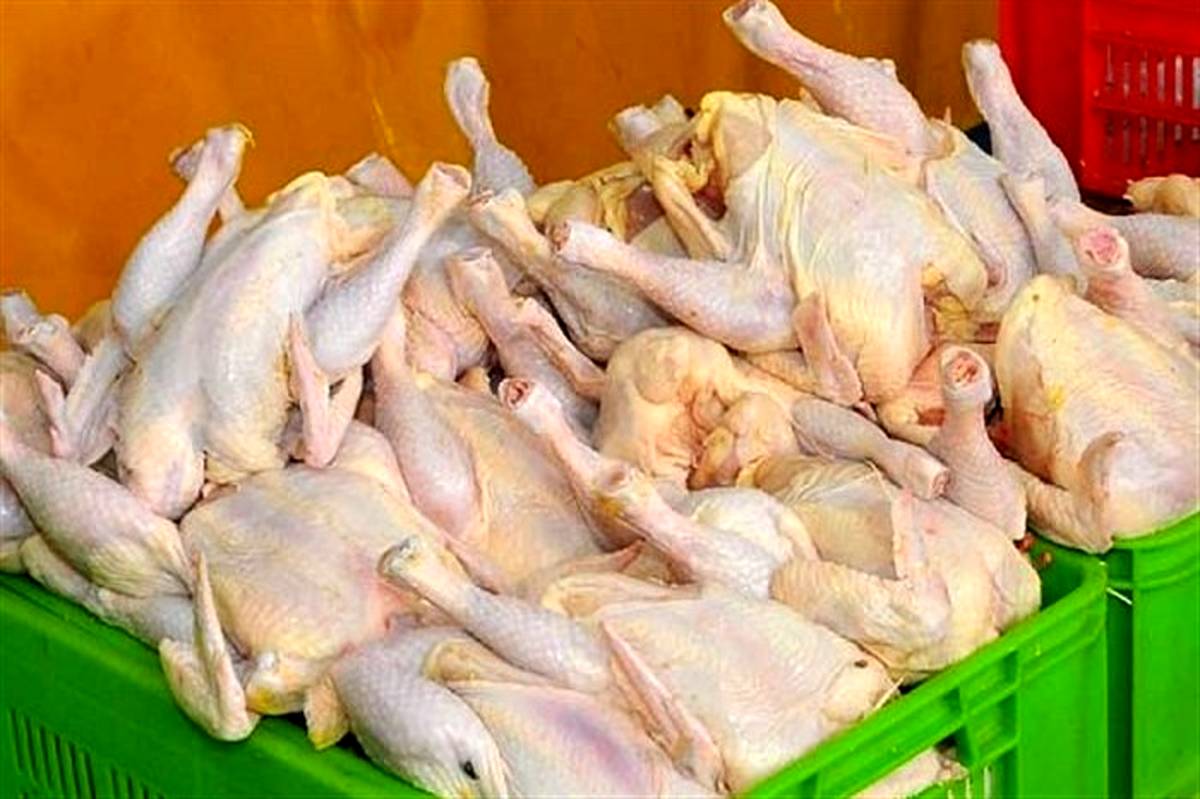 هیچ کمبودی در تامین مرغ در آذربایجان غربی وجود ندارد