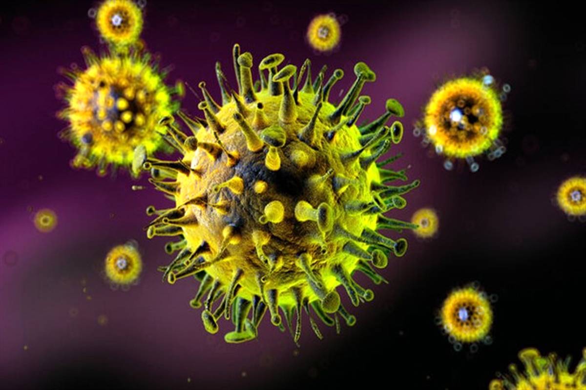 تاثیر یک ویروس سرماخوردگی شایع بر درمان سرطان مثانه