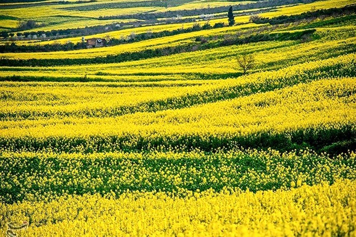 تغییر رویکرد کشاورزی در آذربایجان غربی