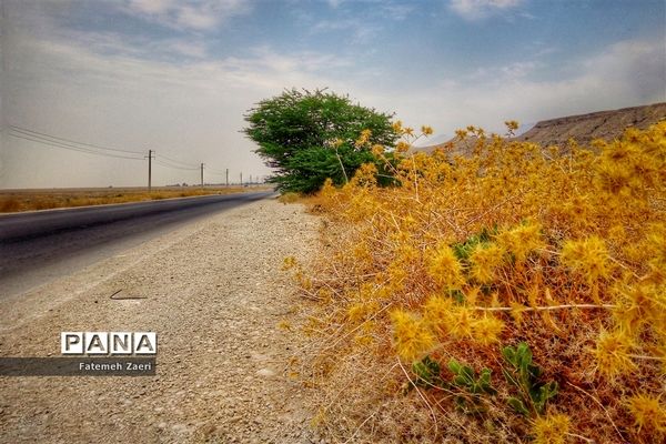 اقلیم خشک و خشن لامرد فارس