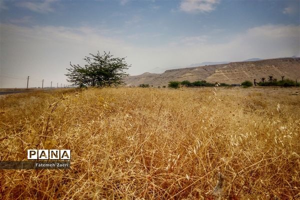 اقلیم خشک و خشن لامرد فارس