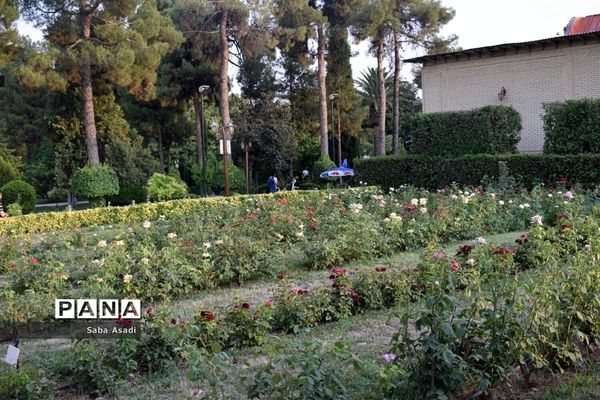 باغ ارم زیبایی چهار فصل شیراز