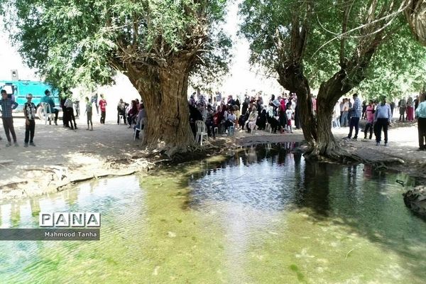 دومین جشنواره بومی محلی وحدت سرخده