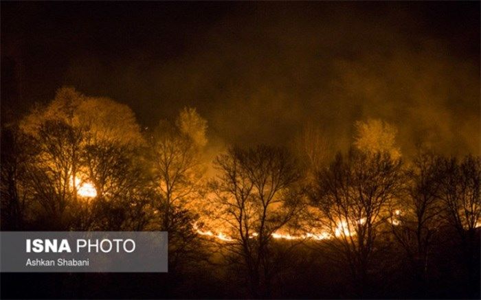 افزایش ۹۰ برابری خسارت‌ آتش‌سوزی در محیط‌زیست استان تهران