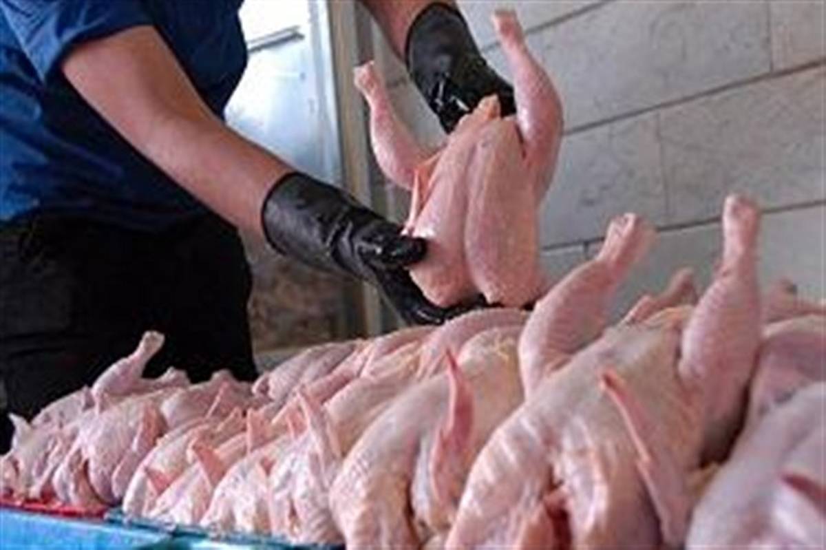 تکذیب توزیع گوشت مرغ با کارت ملی در آذربایجان‌غربی