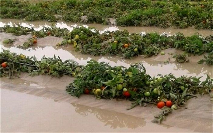 راه و برق ارتباطی۳روستای سلماس قطع است